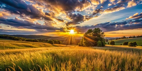 Golden Sunset Over a Field of Tall Grass, Landscape Photography, Dramatic Sky, Sunbeams, Nature , sunset, landscape