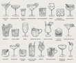 © Wiktoria Matynia - Beautiful hand drawn collection of drinks and cocktails - vector illustration