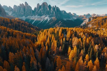 Wall Mural - Golden Forest Against Majestic Mountain Peaks