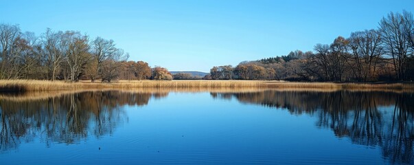 Wall Mural - A calm, reflective lake mirroring a clear blue sky.