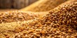 © sarinya - Close-up of malt seeds being grinded at the mill, grinding, technology, process, malt, seeds, mill, production