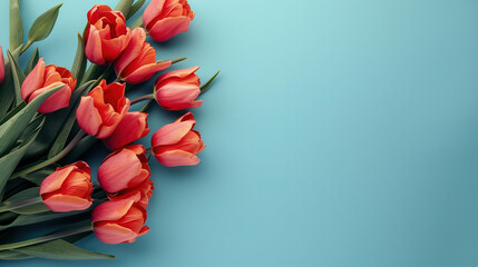 Wall Mural - top view colorful bucket tulips with a blue background