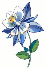 beautiful colorful illustration of columbine flower