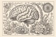 © Leo - Vintage brain illustration with floral patterns conceptual art creative design modern illustration brain study artistic representation detailed brain unique patterns vintage style
