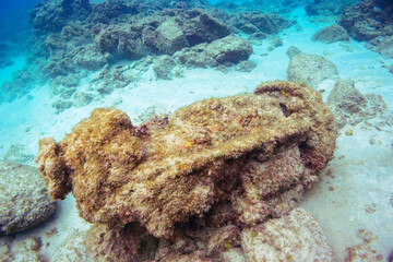 水底に沈んでいる、謎の遺跡。
恐らく第二次世界大戦後に破棄された、新島にあった旧日本海軍の基地に在籍した船の機材。

東京都伊豆諸島式根島-2020年10月3日
