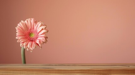 Wall Mural - Gerbera Flower on Wooden Table with Khaki Background Floral Decor with Space