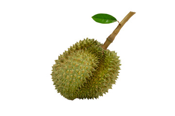 Wall Mural -  Raw of Thai durian fruit with isolated on transparent background. PNG