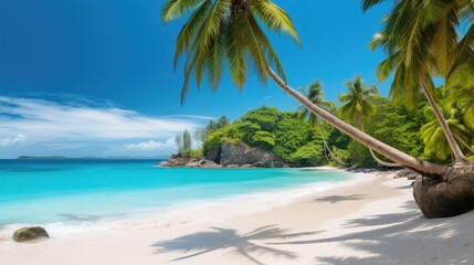 Wall Mural - Photograph of a secluded tropical beach with white sand, turquoise water, and palm trees swaying in the breeze