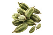 © posterpalette - cardamom pods levitate isolated on transparent background