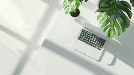 Laptop mockup on the white table with monstera green plant