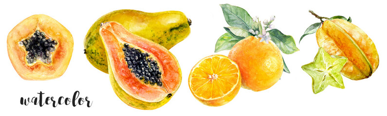 Wall Mural - Watercolor artwork featuring a variety of tropical fruits such as papaya, orange, and starfruit