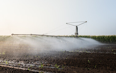 Wall Mural - Agricultural irrigation system watering corn field