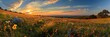 © Vlad - Hill Country Sunrise: Panoramic Texas Landscape with Wildflowers and Sunburst
