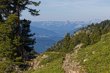 Canvas Print - Path in Belledonne with view of Vercors mountain range in the background