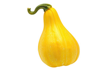 Squash yellow isolated on transparent background