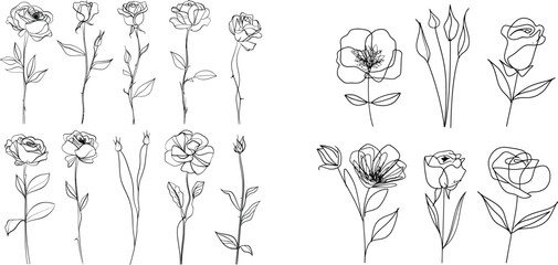 flowers - roses, peonies - drawn with a single continuous line.