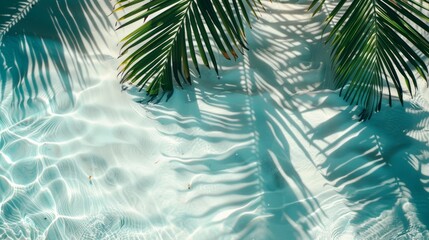Wall Mural - Top view photo of water surface with shadows of tropical leaves. Shadows of palm leaves on the white sand beach Beautiful abstract background concept banner for summer vacation at the beach.