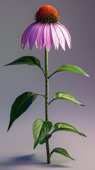 Wall Mural - A single coneflower stands tall, its pink petals open wide against a soft grey backdrop