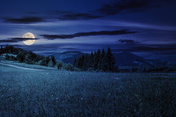 Wall Mural - mountain range with coniferous forest at night. beautiful countryside scenery in full moon light