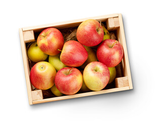 Poster - Red garden apple in wooden box