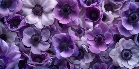 Canvas Print - A close-up shot of a bouquet of purple and white flowers