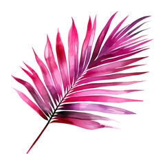 Wall Mural - purple palm leaf watercolor isolated on transparent background cutout