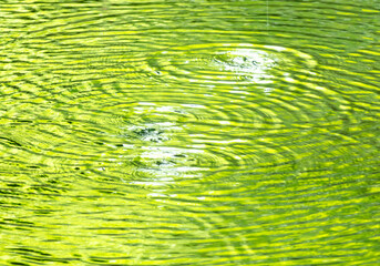 Poster - Circles on the surface of water in nature. Abstract background