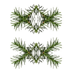 Wall Mural - abstract geometric composition of coniferous branches. christmas symmetrical geometric pattern. desi