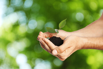 Wall Mural - Man holding soil with green plant in hands against blurred background. Environment protection