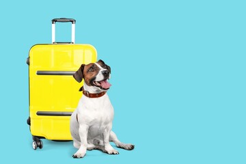 Canvas Print - Cute smart dog with travel suitcase