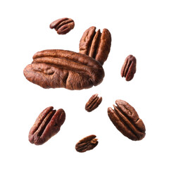 Wall Mural - Pecan nuts in air on white background