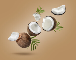 Wall Mural - Coconuts and green leaves falling on dark beige background