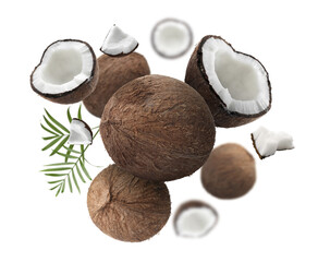 Wall Mural - Coconuts and green leaves falling on white background