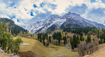 Wall Mural - Serene Landscape of Sindh river valley near Sonamarg village in Ganderbal district of Jammu and Kashmir, India. It is a popular tourist destination for trekking and Amarnath holy pilgrimage.