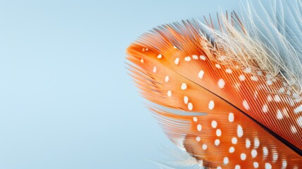 Poster -  A tight shot of a bird's feathers against a blue backdrop