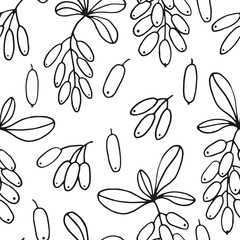 Wall Mural - Seamless pattern with leaves and barberry berries. Hand drawn vector illustration in outline style.