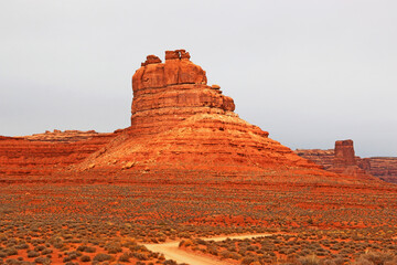 Poster - 	
Valley of the Gods in Utah, USA	