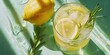 © Alexandr - Lemonade with rosemary garnish