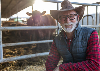 Canvas Print - Farmer in front of cows in stable