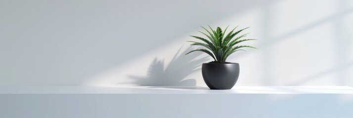 Wall Mural - a simple, elegant white product display stand with a potted plant against a white backdrop