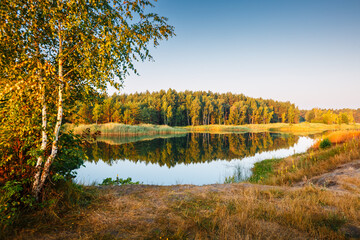 Poster - A calm and silent morning at a small lake. Location place Small Polissya, Ukraine, Europe. Beauty of earth.