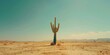 © BrightWhite - Solitary cactus standing tall in vast sunlit desert landscape under clear blue sky, embodying resilience and isolation, perfect for summer adventure themes. Copy space.