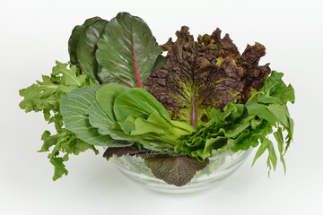 Poster - Close up of stacked raw Ssam vegetables like Pak Choi, Kale, lettuce, red mustard and red beet on glass bowl and white floor, South Korea
