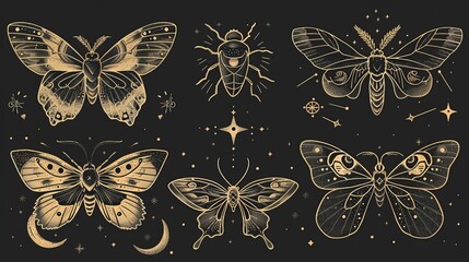 six intricately detailed golden moth and bug illustrations are set against a black background, showc