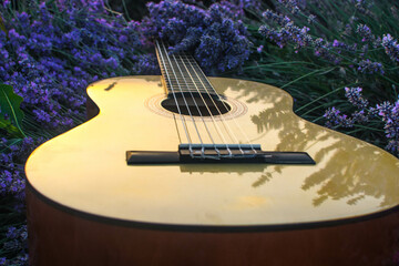 Wall Mural - Guitar in lavender