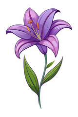 beautiful colorful illustration of lilly flower