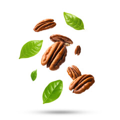 Wall Mural - Pecan nuts and green leaves in air on white background