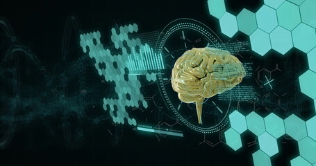 Poster - Image of human brain and digital data processing over black background