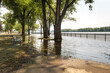 © Carrie - Flooded park, trees, bench and railing along a river.