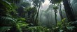 © sevenSkies - lush foggy jungle rainforest wide angle view background for banner with copy space